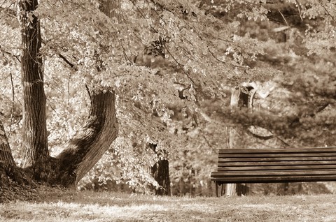 Feeling depressed in Dubai. The sepia picture shows an empty bench in a park. The picture refers to loneliness in Dubai