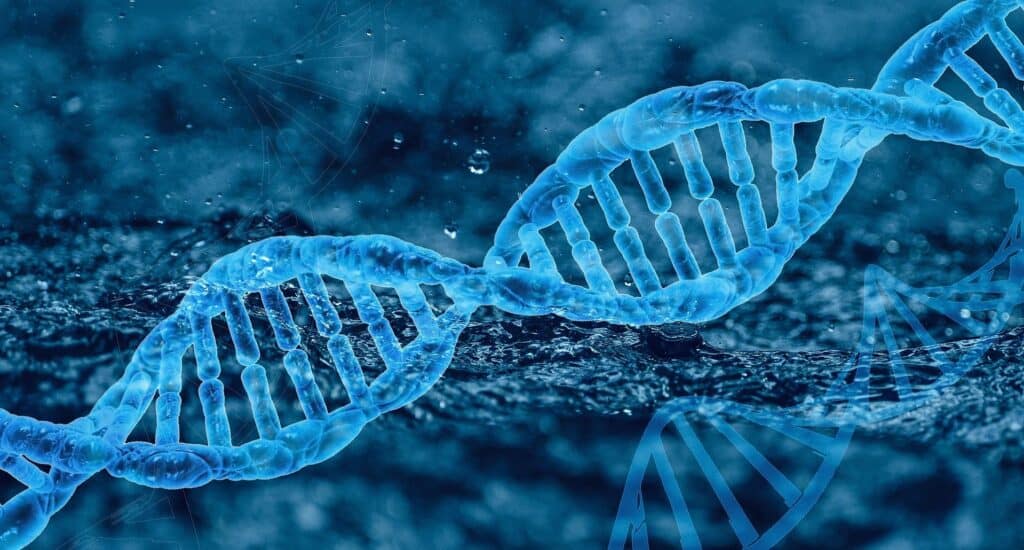 The picture in blue shows a double helix. It refers to the genetic predisposition for developing panic attacks