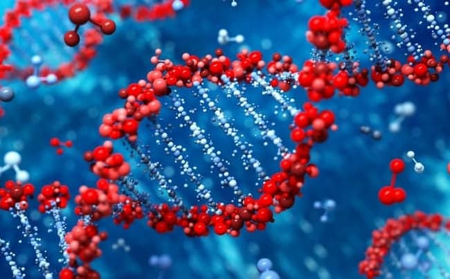 Double helix pointing out the role of genetics for tobacco addition