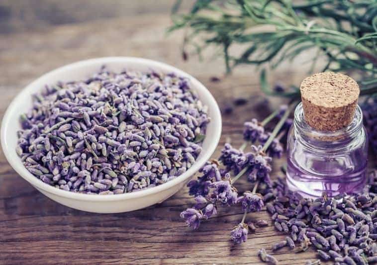 Integrative medicine blends alternative and conventional medicine. The picture show bottle of essential oil and lavender flowers in bowl